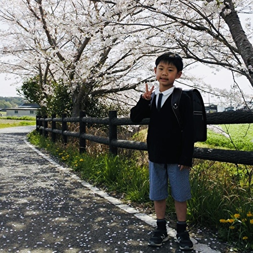 お客さまの声