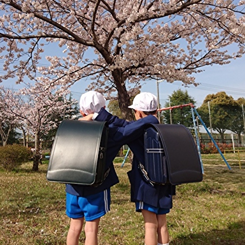 お客さまの声
