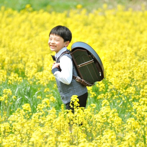 お客さまの声