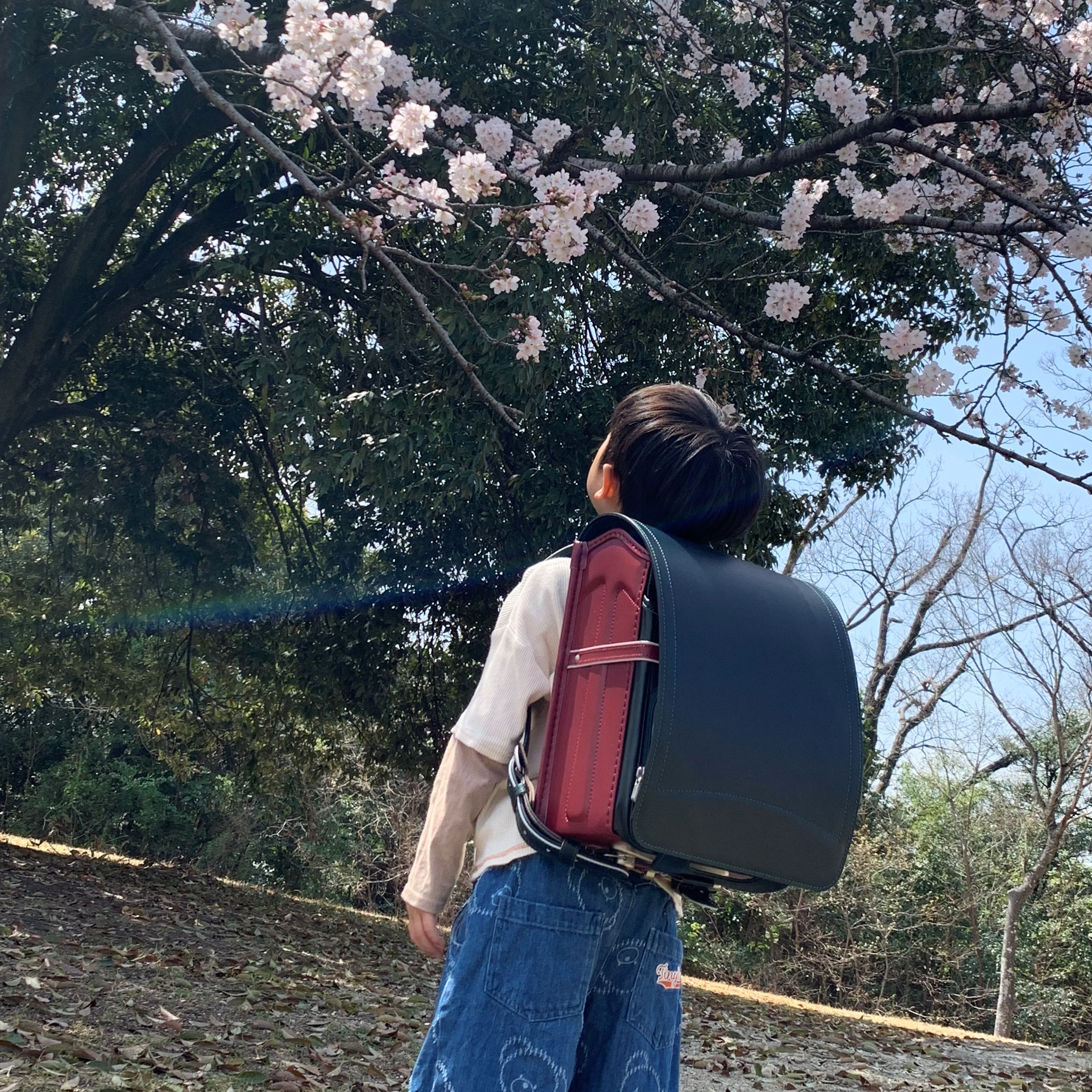 お客さまの声