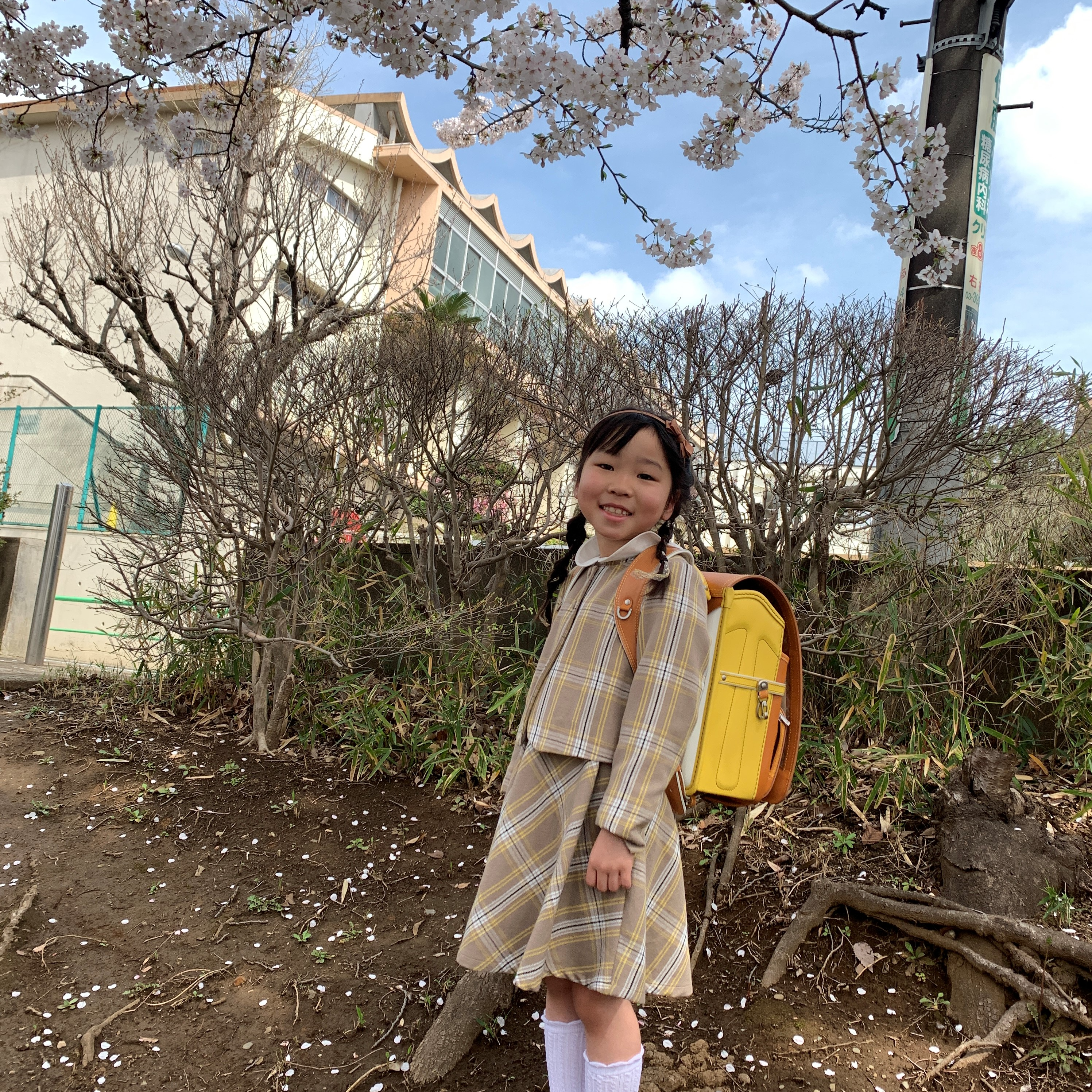 お客さまの声