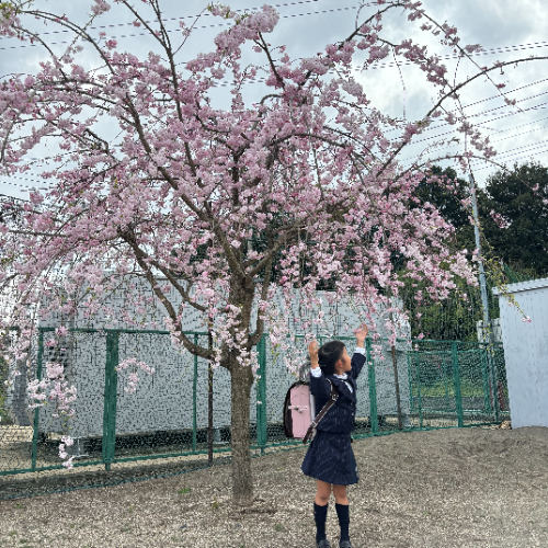 お客さまの声