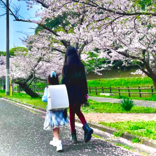 お客さまの声