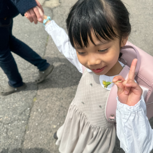 お客さまの声