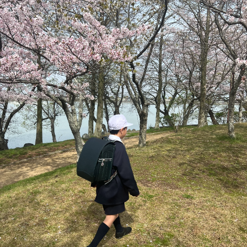 お客さまの声