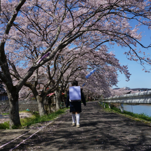 お客さまの声