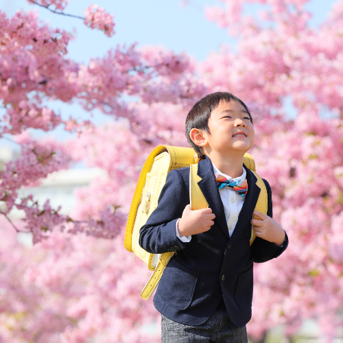 お客さまの声