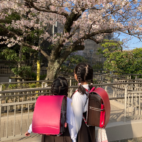 お客さまの声