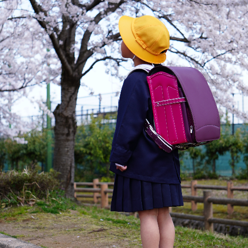 お客さまの声