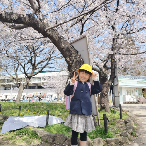 お客さまの声