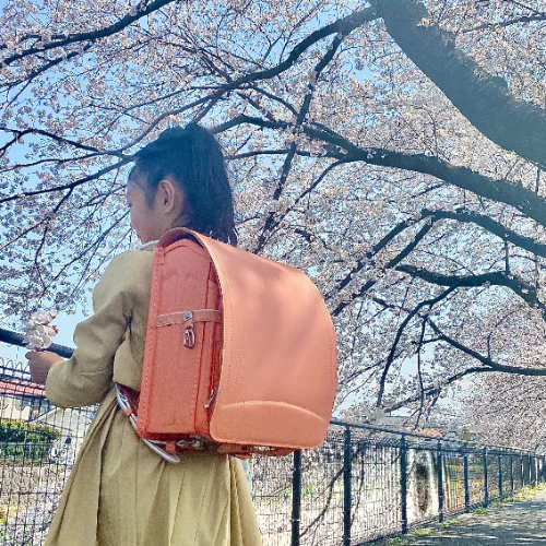 お客さまの声