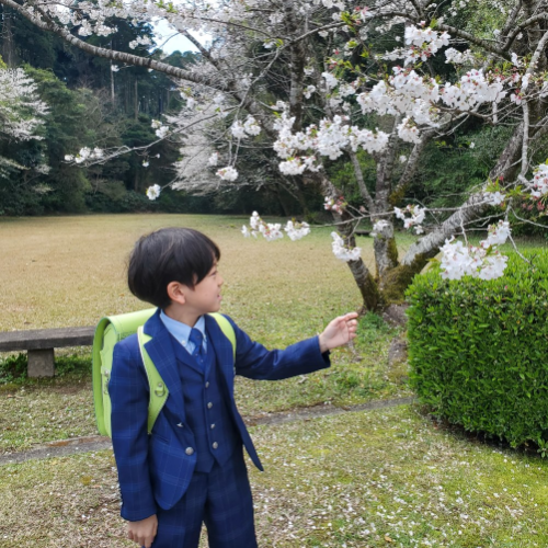 お客さまの声