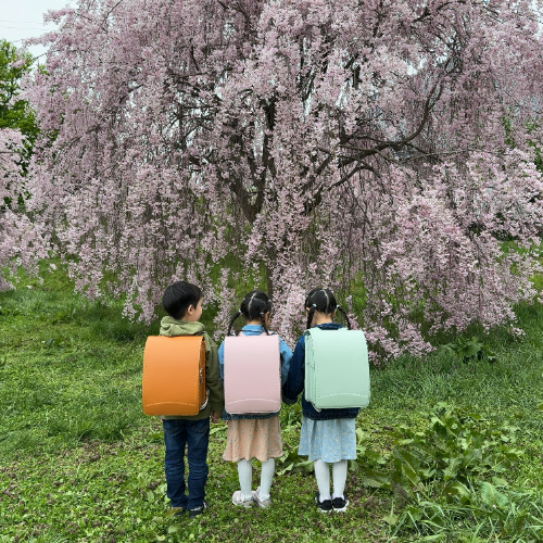 お客さまの声