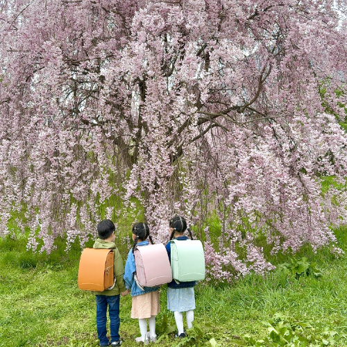 お客さまの声