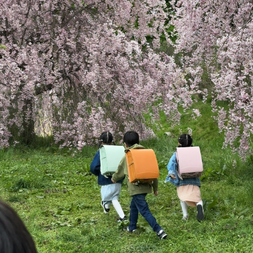 お客さまの声